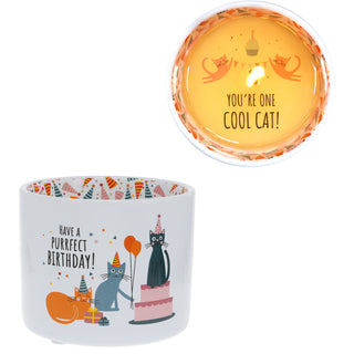 Purrfect Birthday 8 oz 100% Soy Wax Reveal, Single Wick Candle
Scent: Tranquility