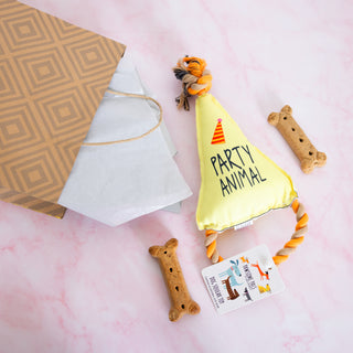 Party Animal Canvas Dog Toy on a Rope