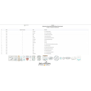 Adventure Awaits Spring 2025 Beach Assortment Beach Assortment